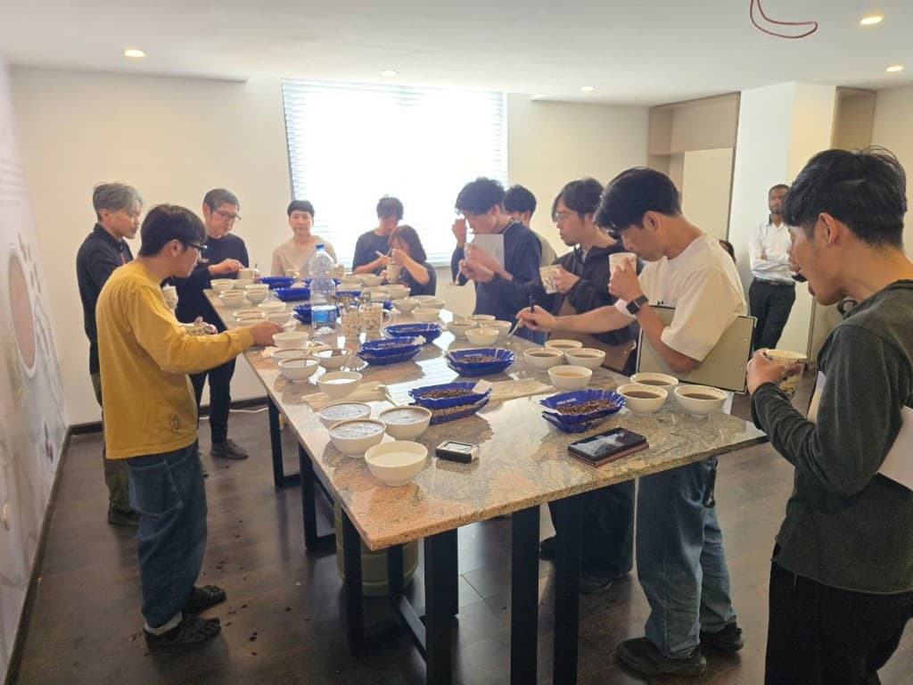 Professional coffee cupping session evaluating Lambek washed coffees